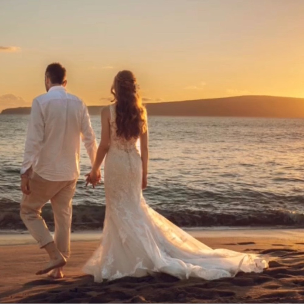 Wedding Dress - Mermaid style gown (fits a street size 2-4)